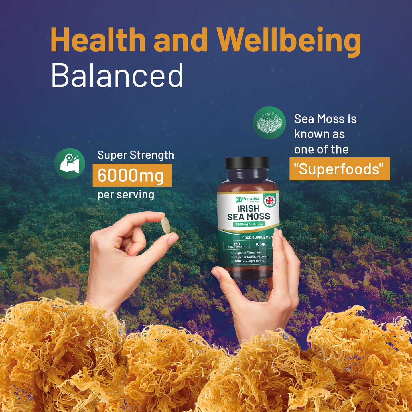 Irish Sea Moss Tablets 6000mg High Strength | 120 Vegan Tablets (UK Made)