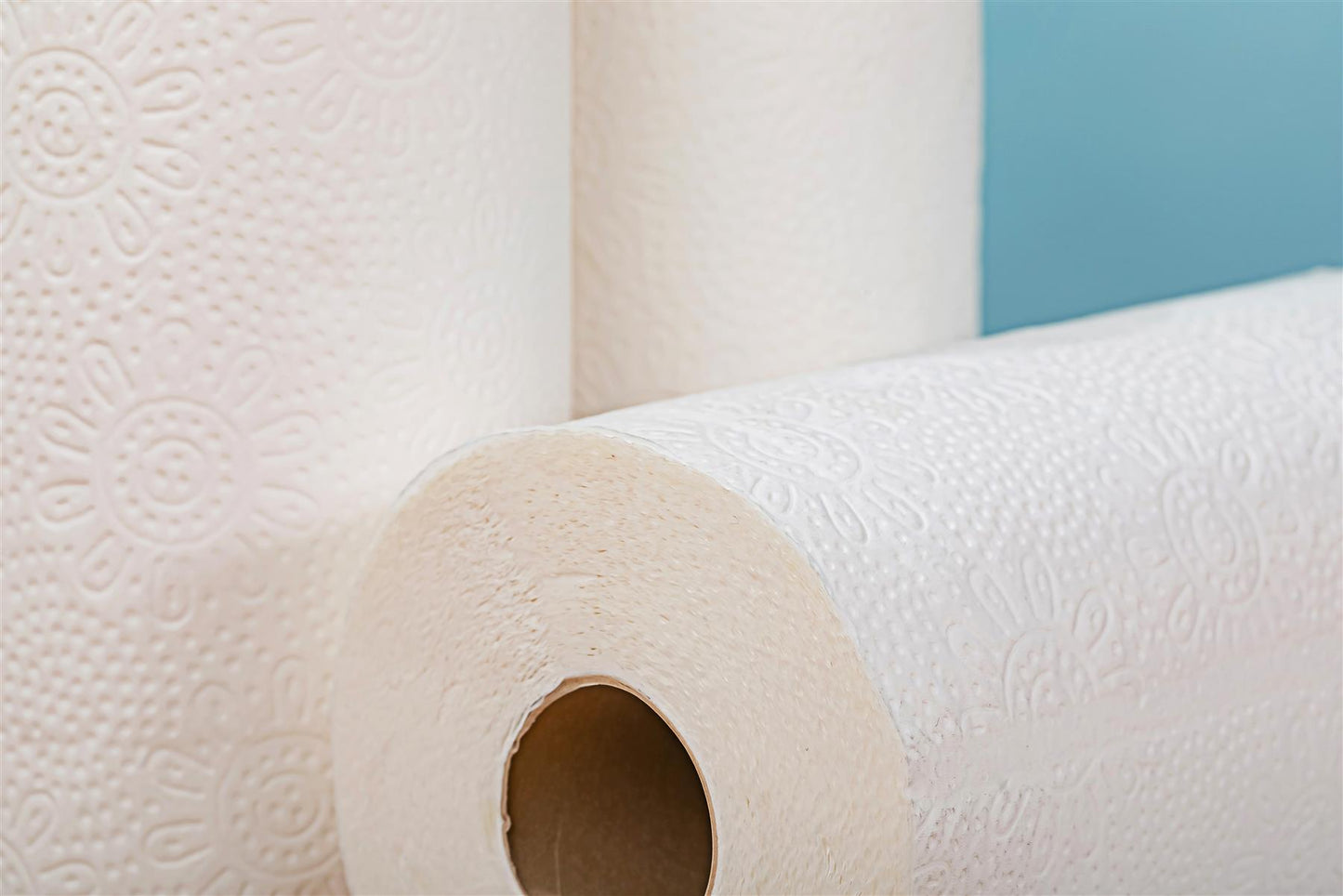 Bamboo Kitchen Roll Towels — 12-Pack, Eco-Friendly, Super Absorbent, 1200 Sheets
