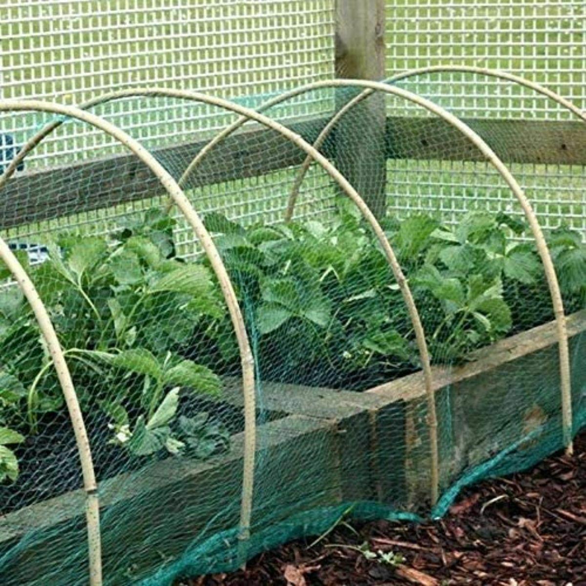6-Pack Garden Netting, 2m x 10m Roll for Plants & Protection