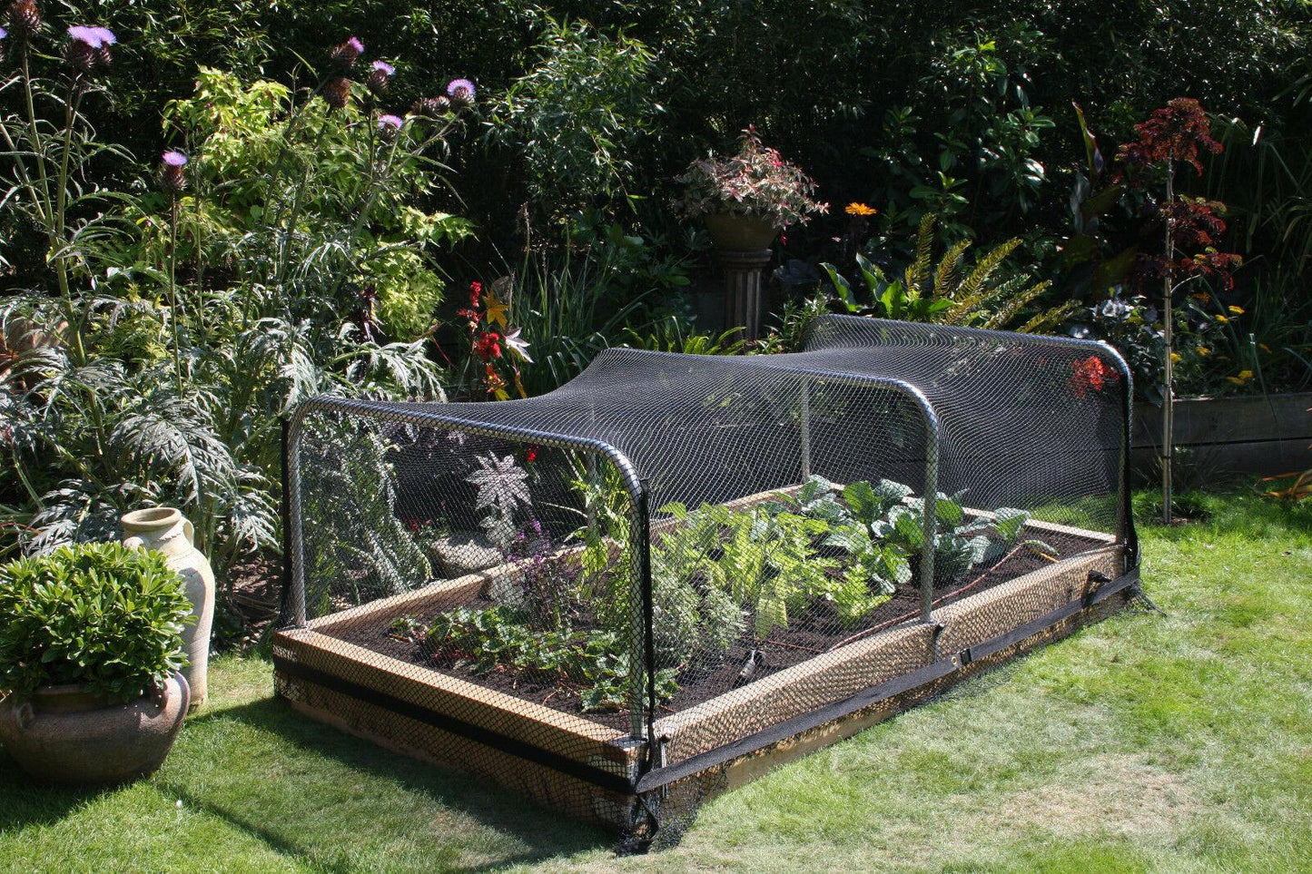 6-Pack Garden Netting, 2m x 10m Roll for Plants & Protection